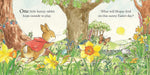 Load image into Gallery viewer, PETER RABBIT: PETERS FIRST EASTER (BOARD BOOK)