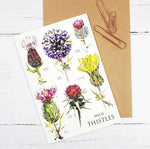 Load image into Gallery viewer, Scottish Thistle Cards designed by Louise Jennifer Design