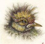 Load image into Gallery viewer, Bird Nest Coaster Collection by Artist Louise Scott