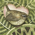 Load image into Gallery viewer, Large SQ Bird Cards by Louise Scott