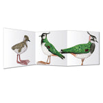 Load image into Gallery viewer, Zigzag Bird Cards
