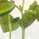 Load image into Gallery viewer, Magic Bean Floral Engagement Card by Lucy & Lolly