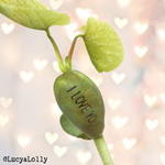 Load image into Gallery viewer, 'Dad You're Fab' Magic Bean Card by Lucy & Lolly