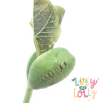 Load image into Gallery viewer, Magic Bean Good Luck Card by Lucy and Lolly