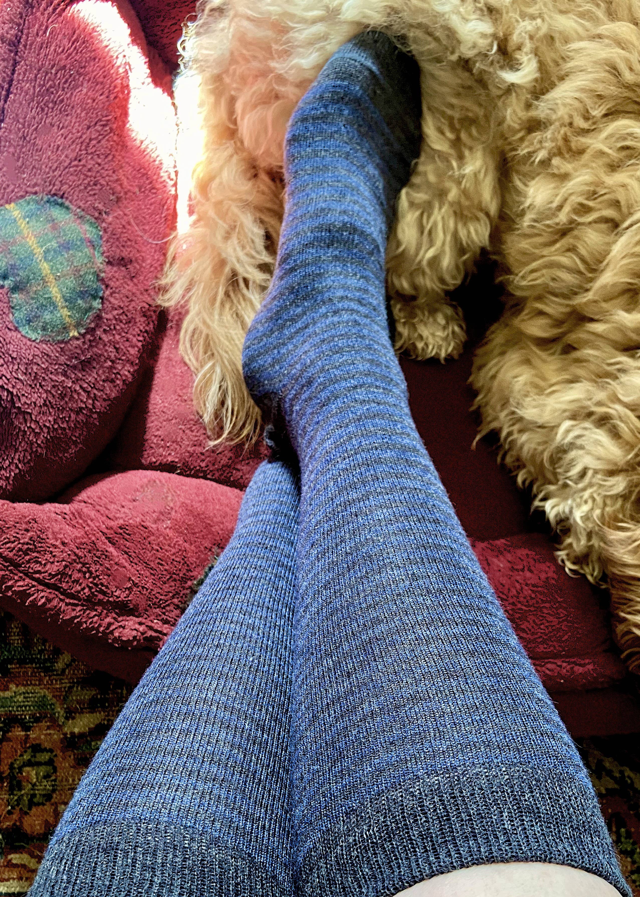 Ladies Alpaca Stripey Socks