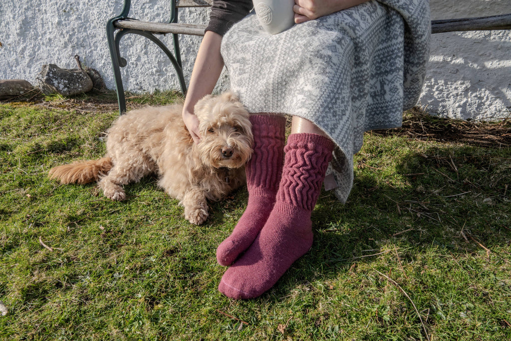 Cosy Everyday Alpaca Socks by Samantha Holmes