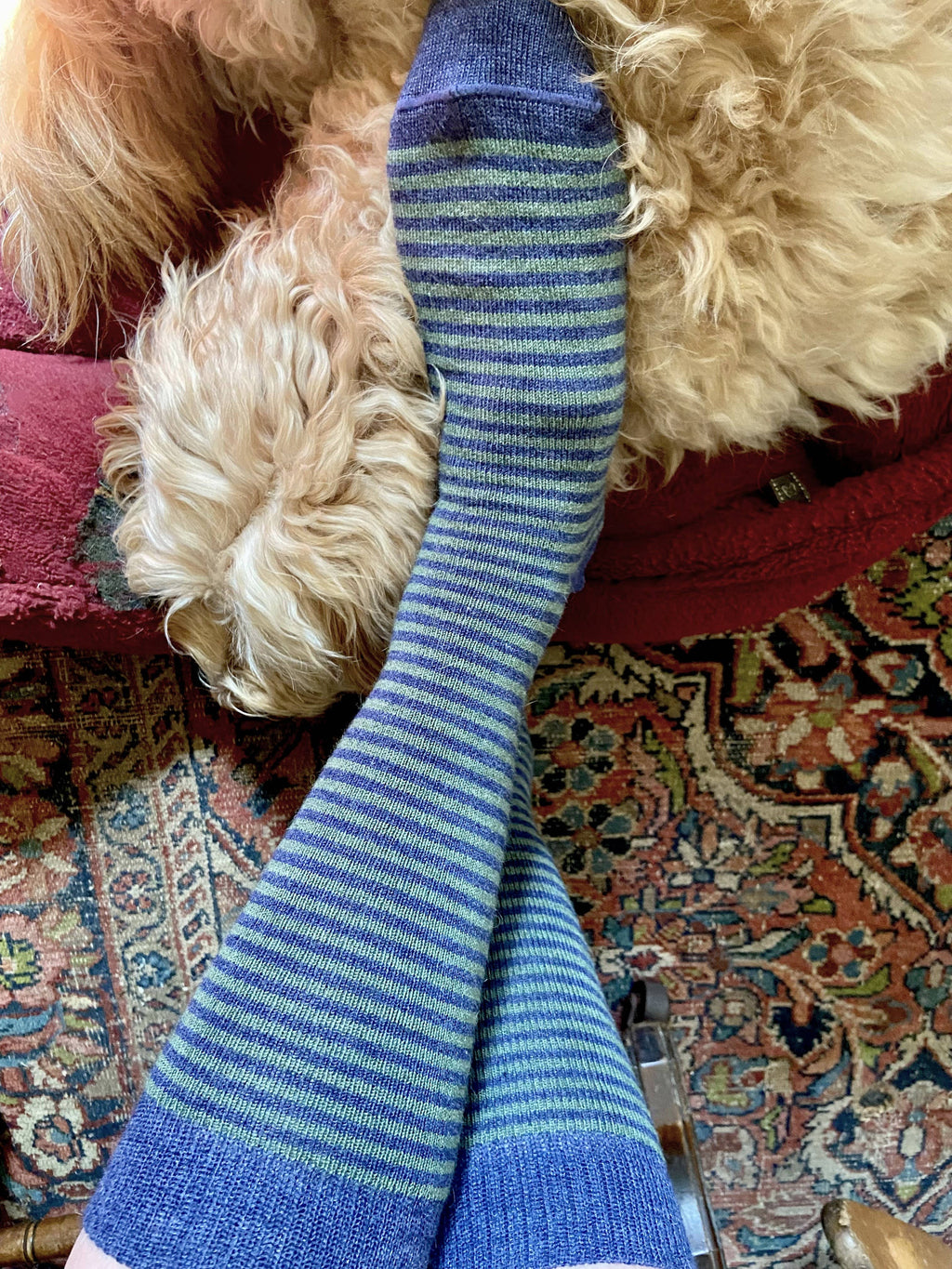 Ladies Alpaca Stripey Socks