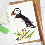 Load image into Gallery viewer, Puffin Cards designed by Louise Jennifer Design
