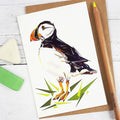 Puffin Cards designed by Louise Jennifer Design
