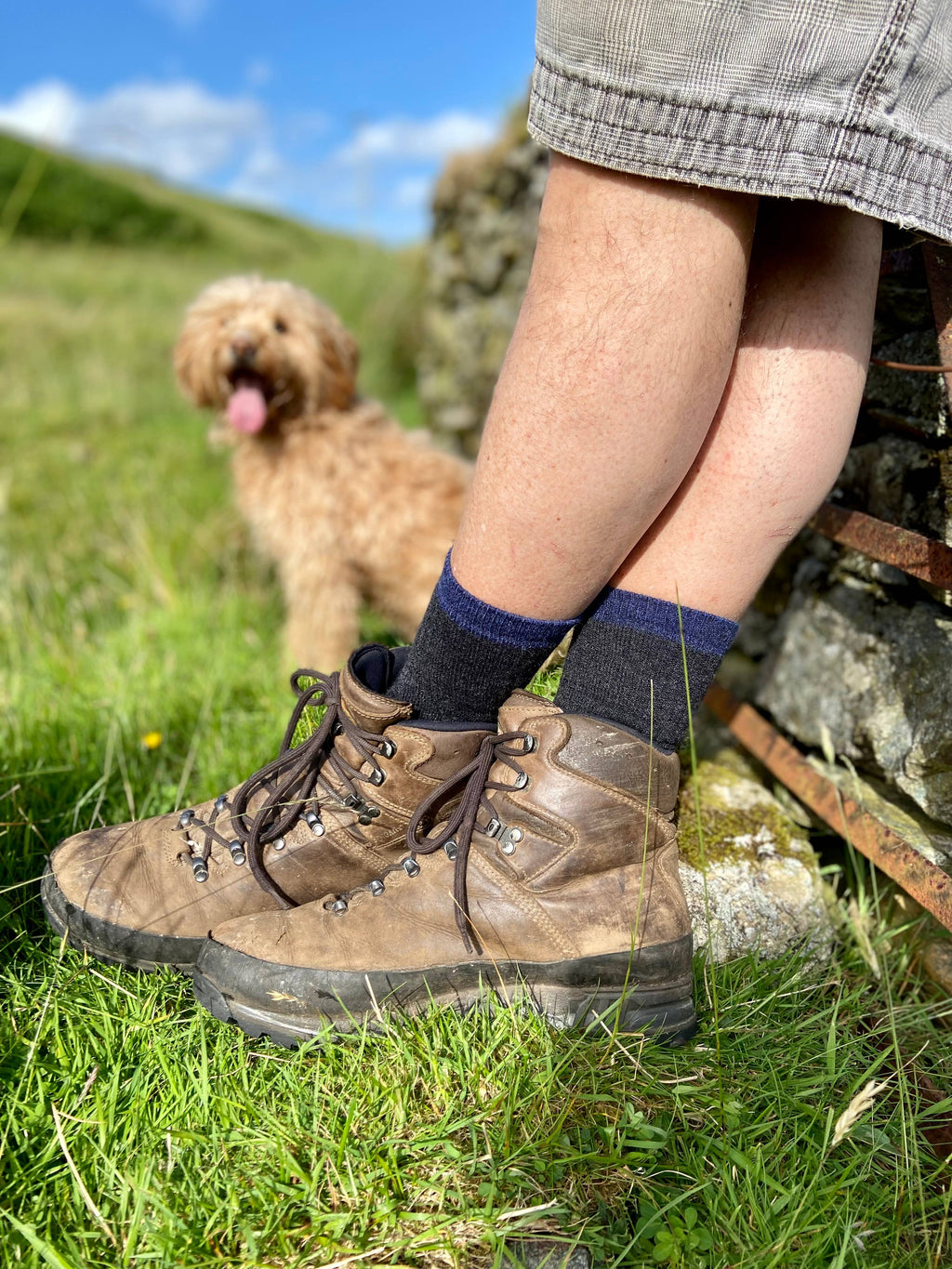 NEW Alpaca Cushioned Hiking Socks - Available in 2 sizes !