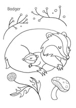 Load image into Gallery viewer, MY FIRST COLOURING BOOK: SCOTTISH ANIMALS (PB)
