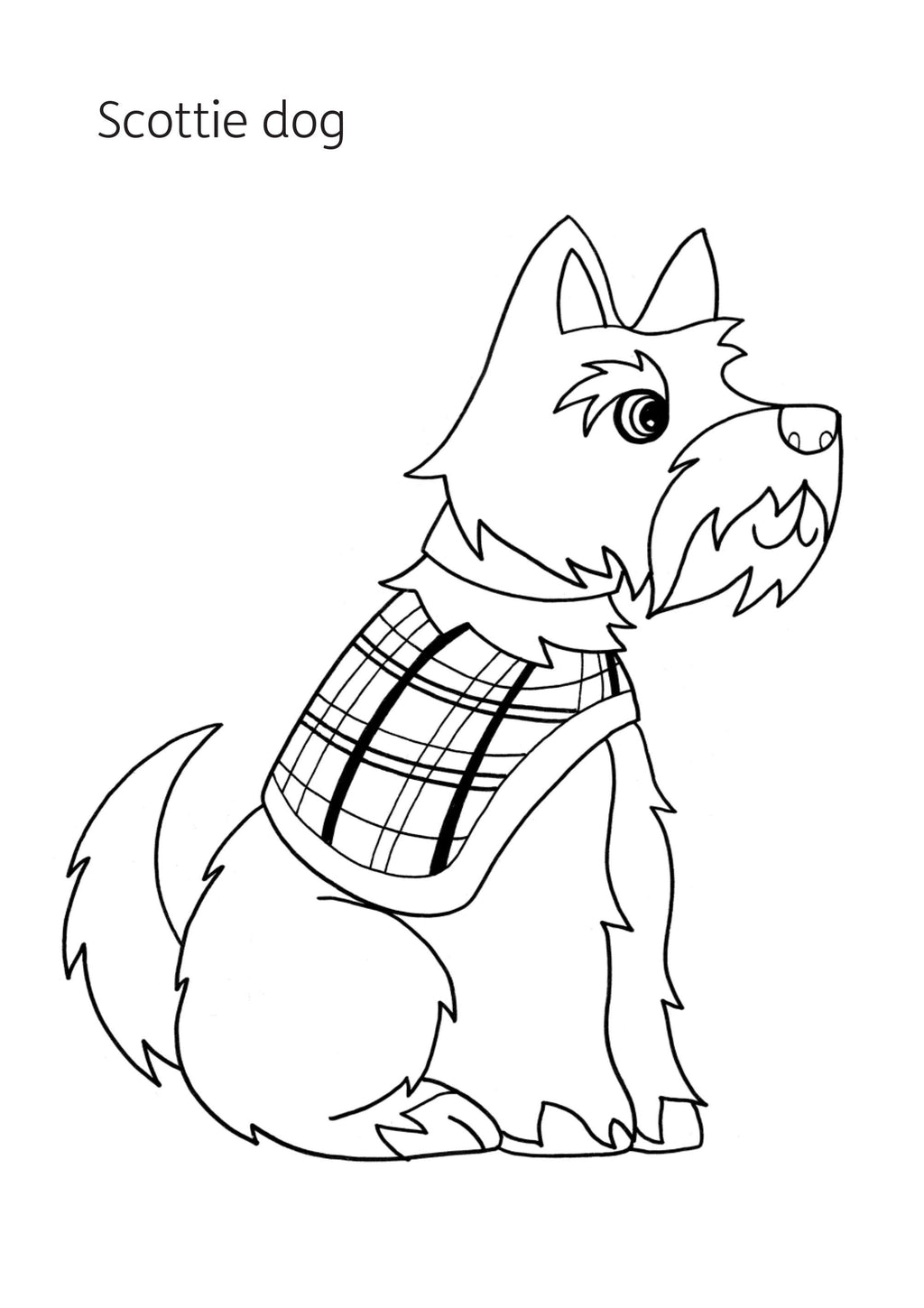 MY FIRST COLOURING BOOK: SCOTTISH ANIMALS (PB)
