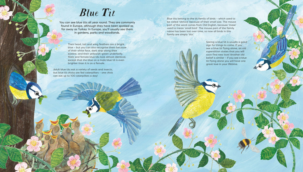 BIRDS OF A FEATHER (PRESS OUT) (NATIONAL TRUST) (HB)