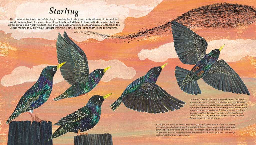 BIRDS OF A FEATHER (PRESS OUT) (NATIONAL TRUST) (HB)