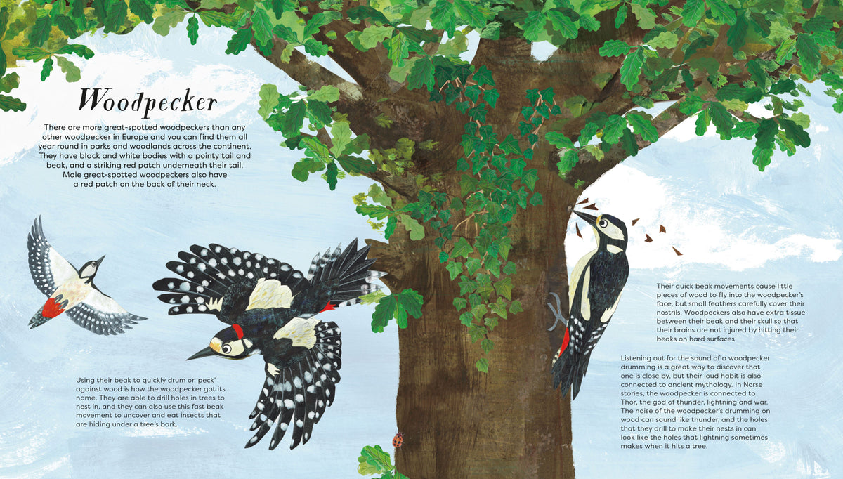 BIRDS OF A FEATHER (PRESS OUT) (NATIONAL TRUST) (HB)