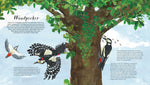 Load image into Gallery viewer, BIRDS OF A FEATHER (PRESS OUT) (NATIONAL TRUST) (HB)
