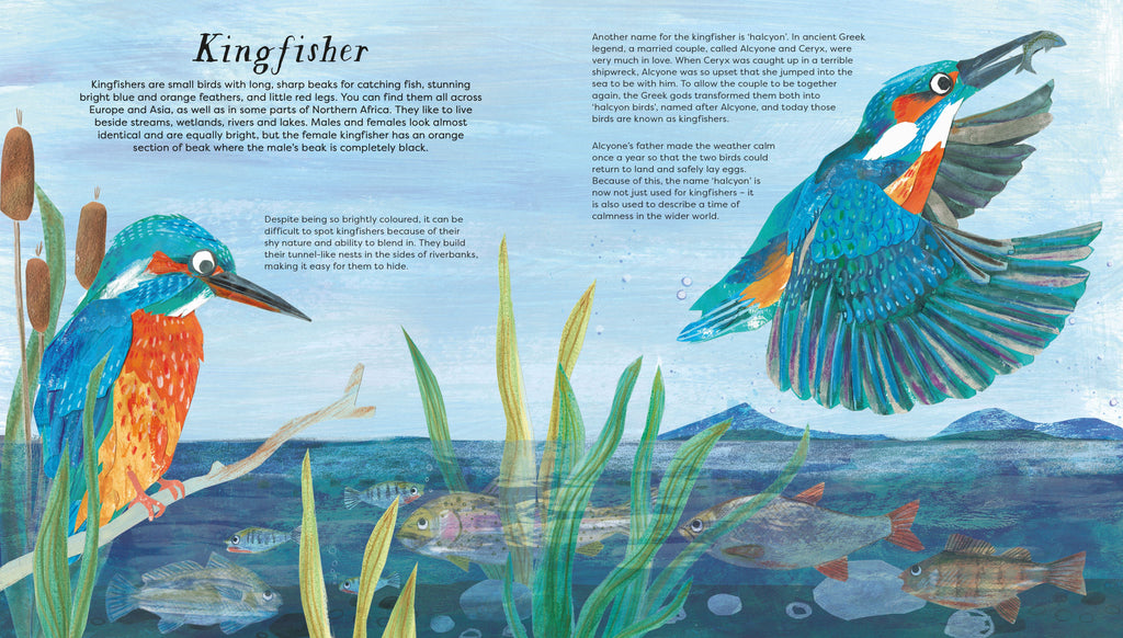 BIRDS OF A FEATHER (PRESS OUT) (NATIONAL TRUST) (HB)