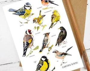 Garden Bird Card designed by Louise Jennifer Design