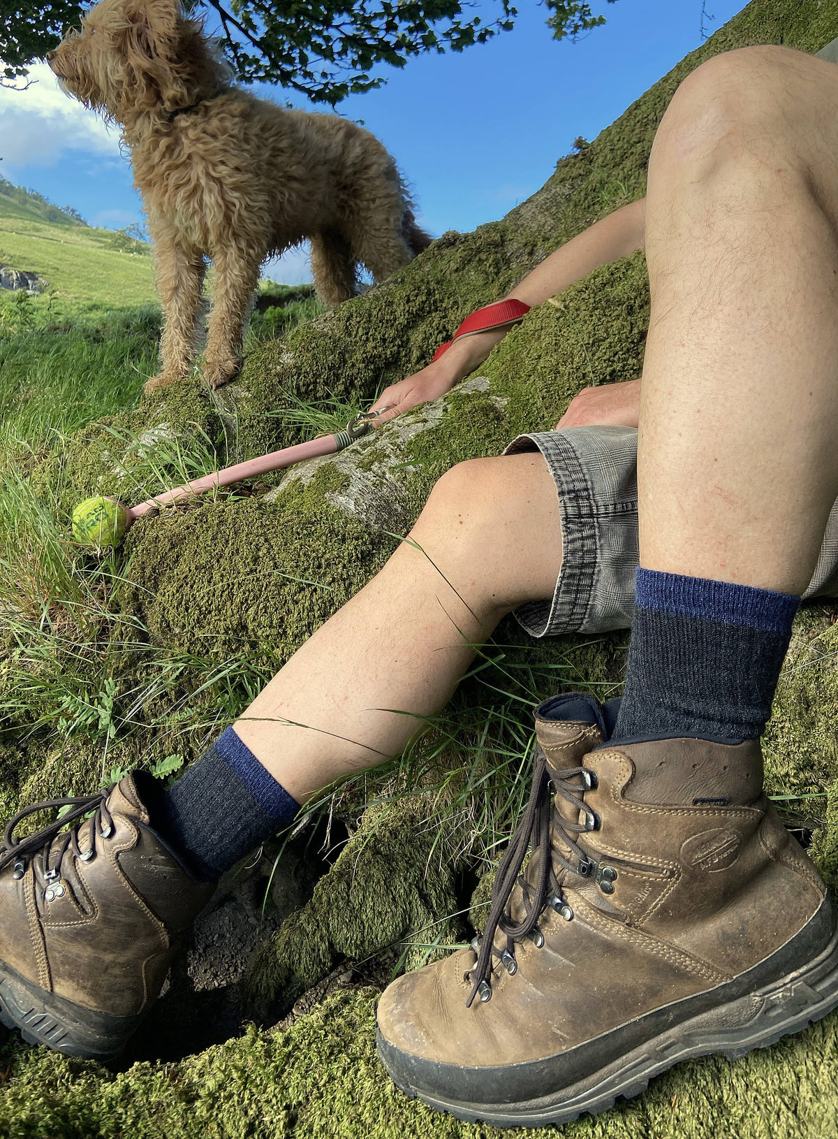 NEW Alpaca Cushioned Hiking Socks - Available in 2 sizes !