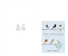 OUR SONG BIRDS