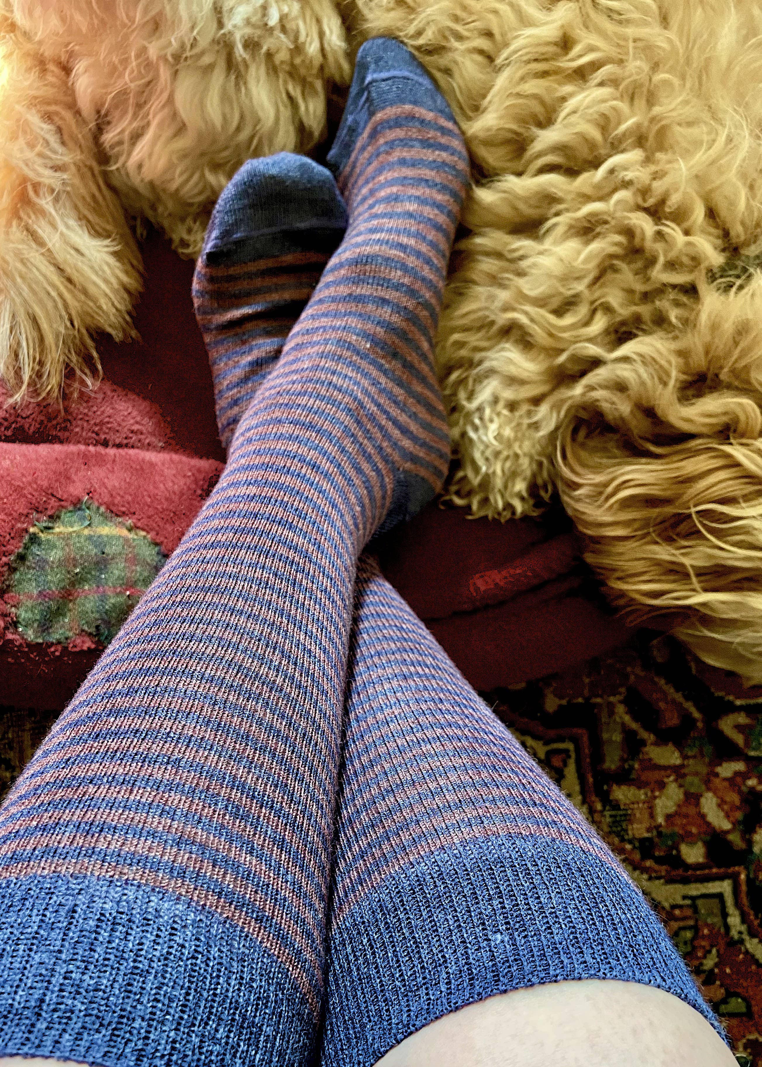 Ladies Alpaca Stripey Socks