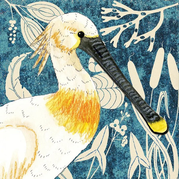 Spoonbill Wild Wood Bird Card by Perkins & Morley