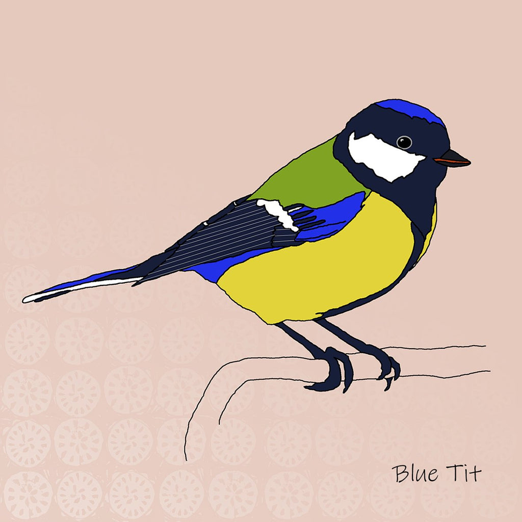 Garden Birds Ceramic Coaster Collection by Dibujo Designs