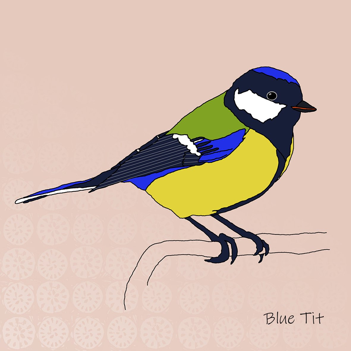 Garden Birds Ceramic Coaster Collection by Dibujo Designs