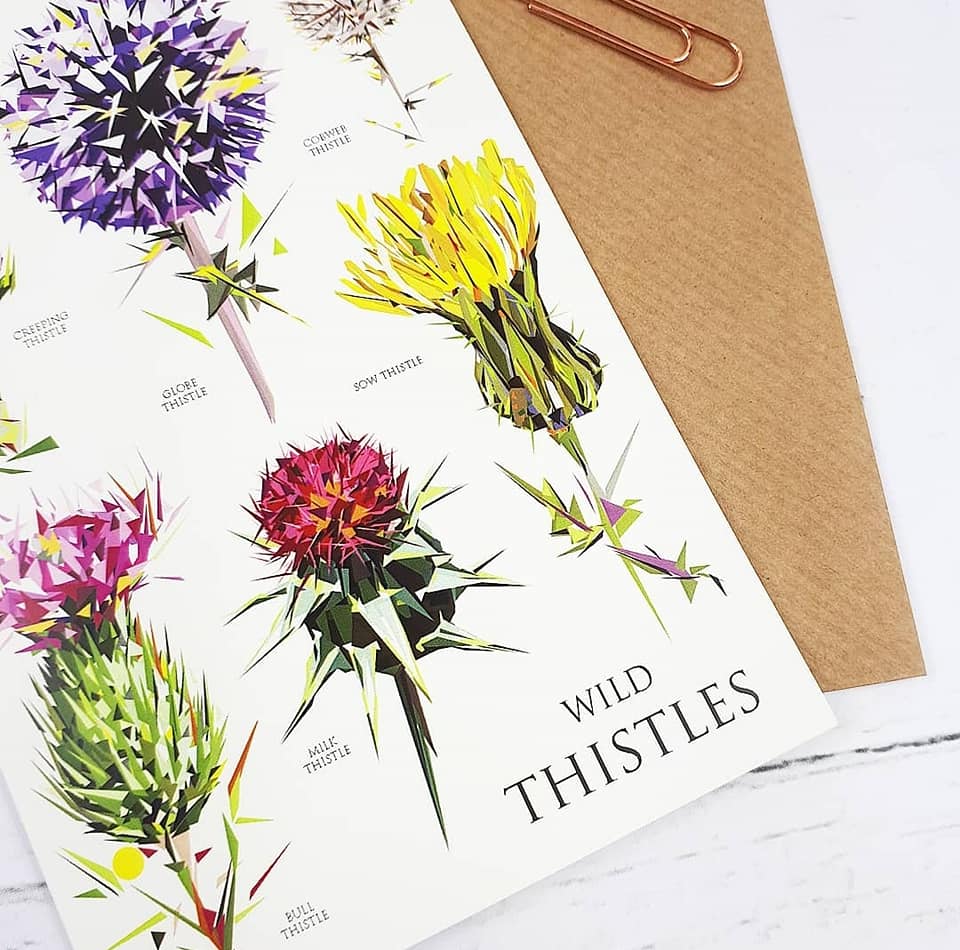Scottish Thistle Cards designed by Louise Jennifer Design