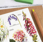 Load image into Gallery viewer, British / Garden Flowers Card designed by Louise Jennifer Design
