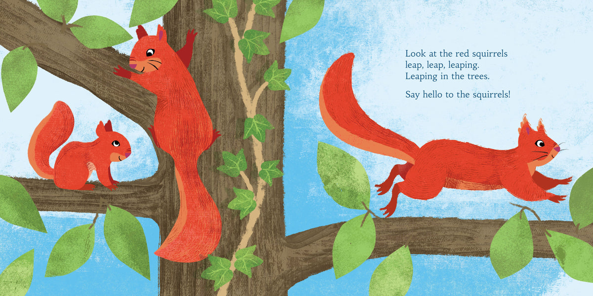 HELLO SCOTTISH ANIMALS BOOK
