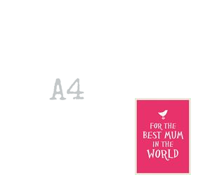 For the Best Mum in the World (Mini Book)