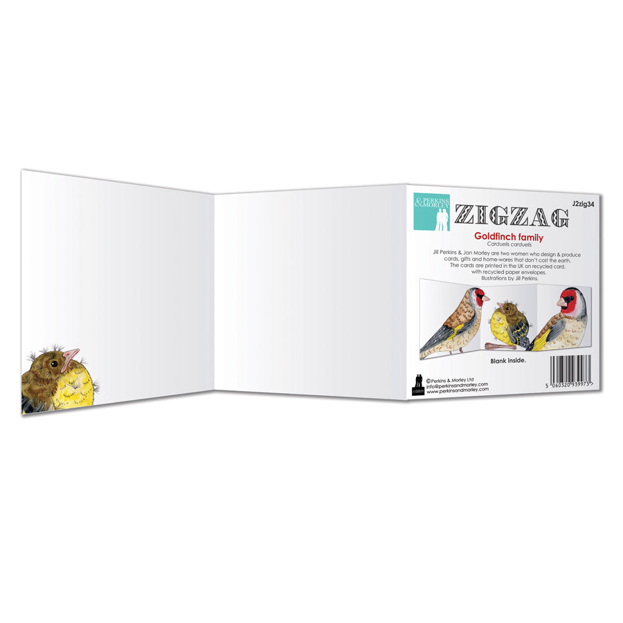 Zigzag Bird Cards
