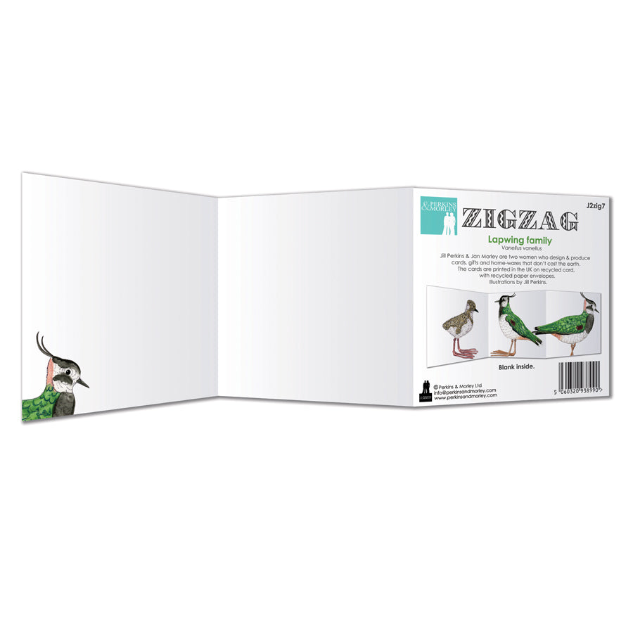 Zigzag Bird Cards