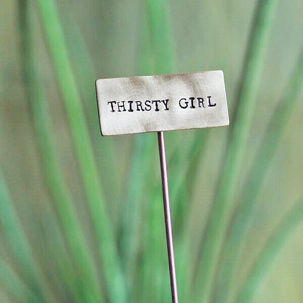 Brass Plant Markers Handmade in Scotland by Milomade