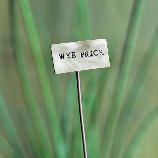Brass Plant Markers Handmade in Scotland by Milomade