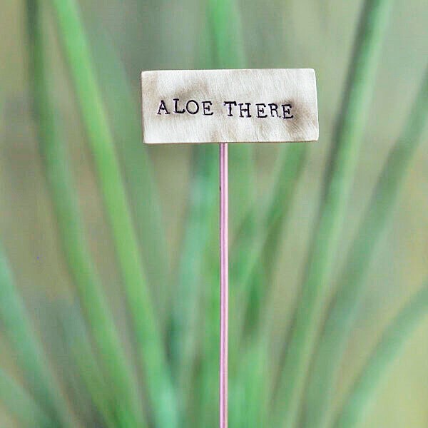 Brass Plant Markers Handmade in Scotland by Milomade