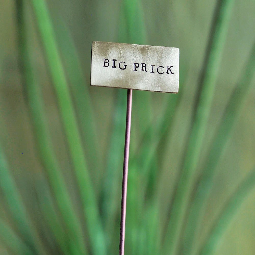 Brass Plant Markers Handmade in Scotland by Milomade