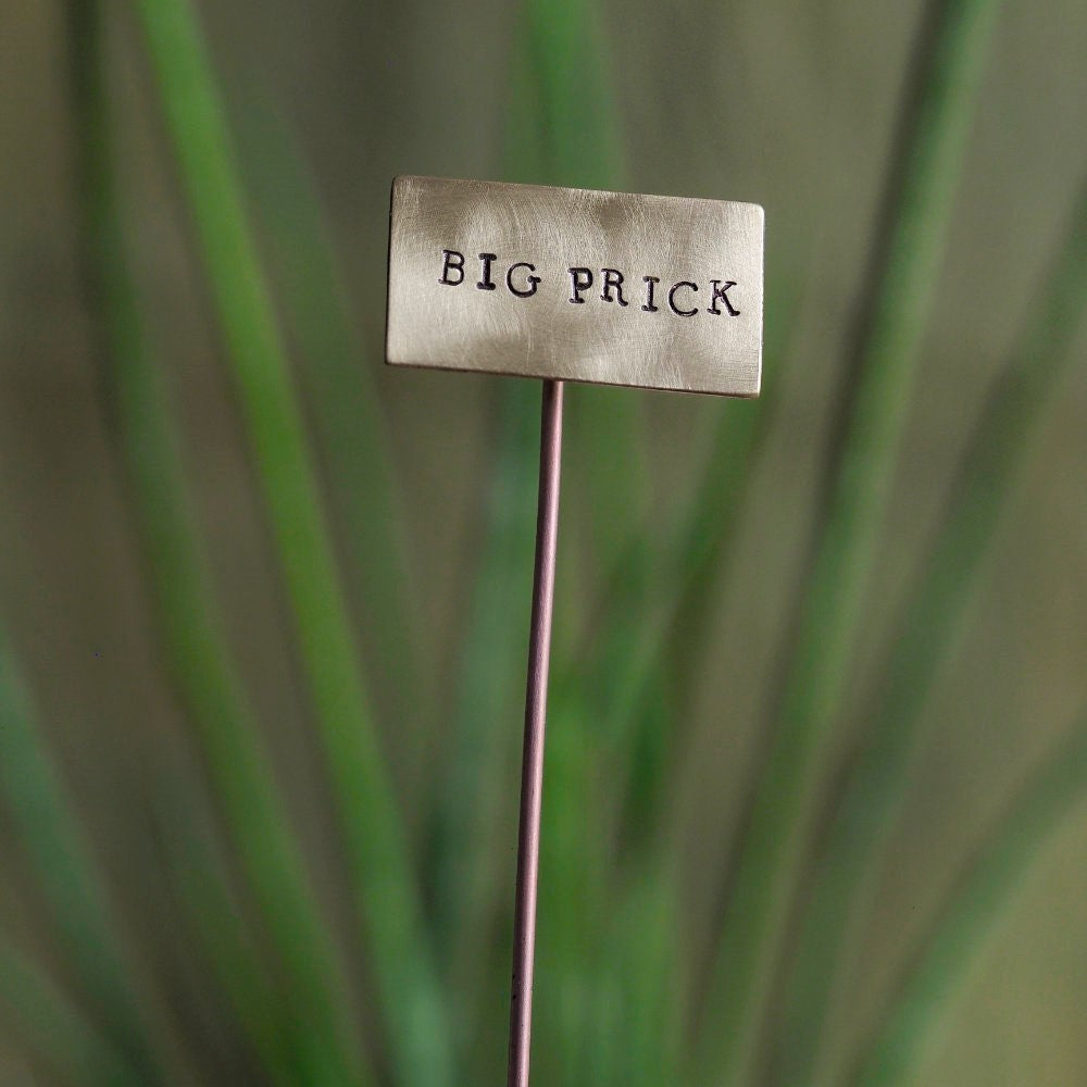 Brass Plant Markers Handmade in Scotland by Milomade