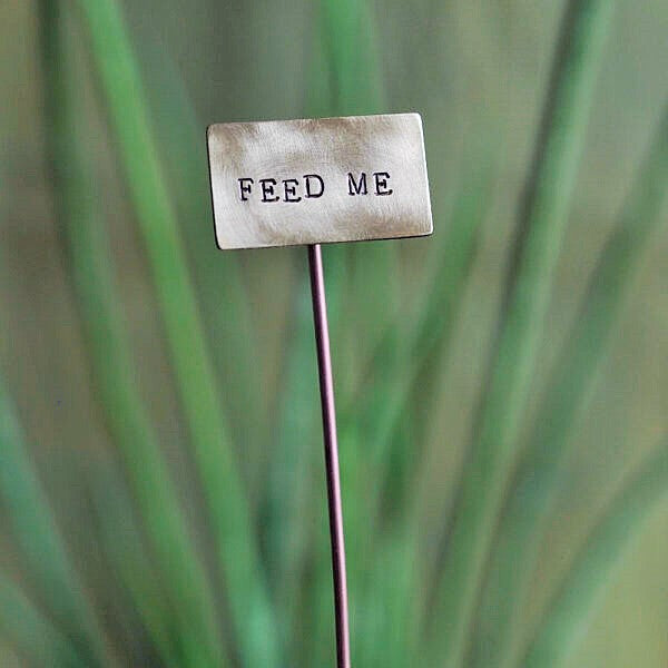 Brass Plant Markers Handmade in Scotland by Milomade