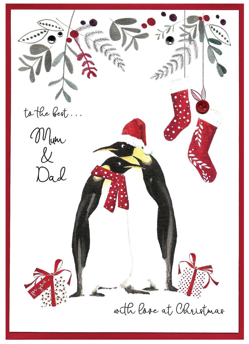 Relations 'Cranberry Sauce' Christmas Cards by Cinnamon Aitch