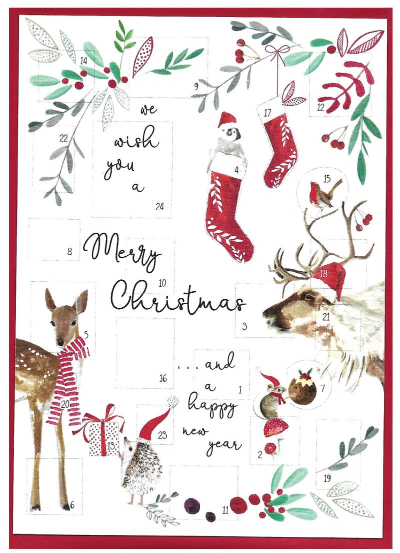 Advent 'Cranberry Sauce' Christmas Cards by Cinnamon Aitch