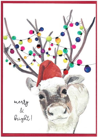 NEW 'Cranberry Sauce' Christmas Cards by Cinnamon Aitch