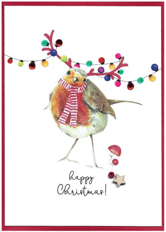 Robin 'Cranberry Sauce' Christmas Cards by Cinnamon Aitch