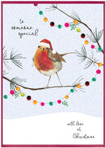 Load image into Gallery viewer, Robin &#39;Cranberry Sauce&#39; Christmas Cards by Cinnamon Aitch
