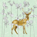 Colouring Book Card by Perkins & Morley