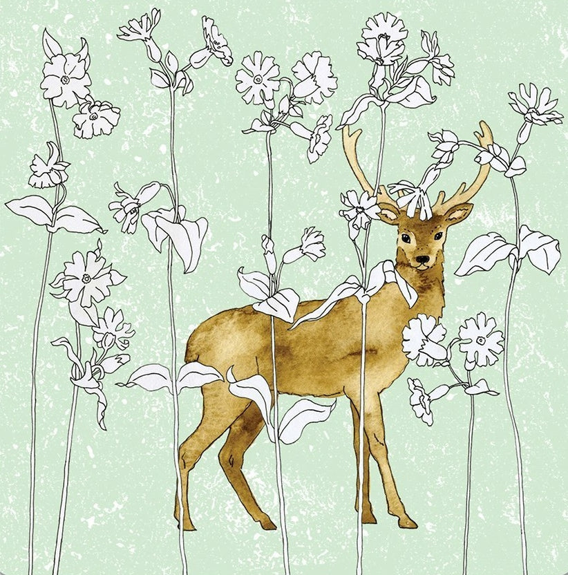 Colouring Book Card by Perkins & Morley