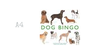 Dog Bingo