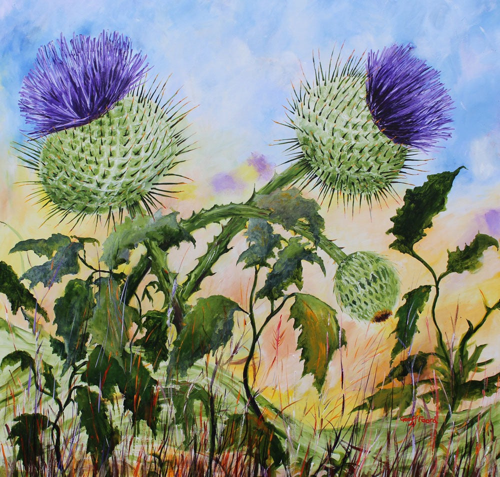 Scottish Thistle Art cards by Geoff Foord
