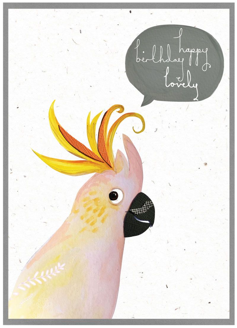 Quirky Bird Cards